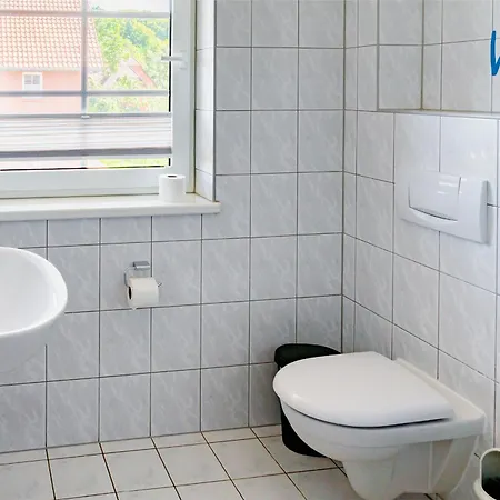 Am Gutspark Drankse Sonnenmorgen * ドランスケ