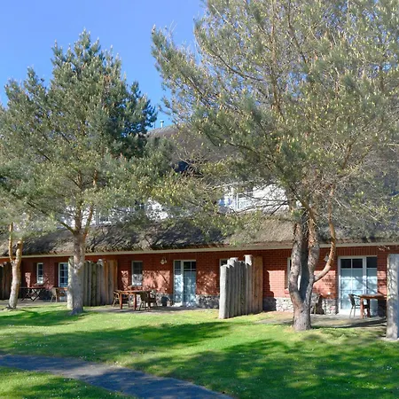 Am Gutspark Drankse Sonnenmorgen * ドランスケ