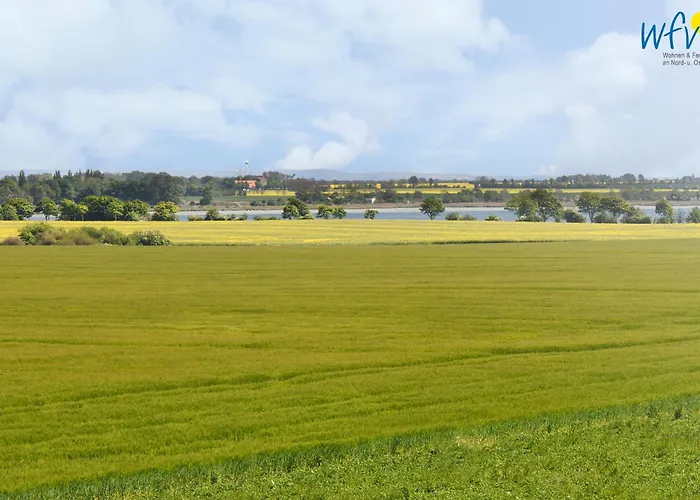 Am Gutspark Drankse Sonnenmorgen Dranske