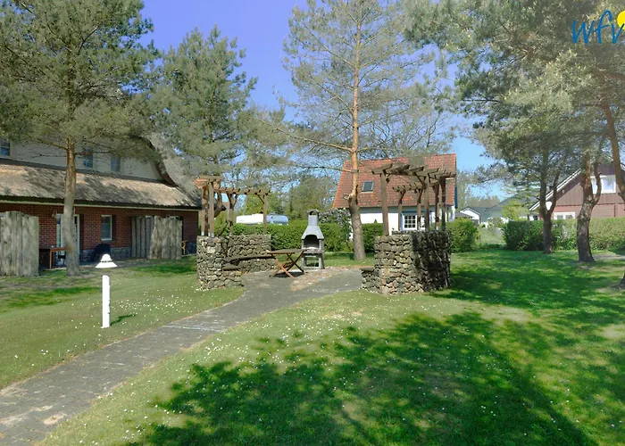 Am Gutspark Drankse Sonnenmorgen Dranske