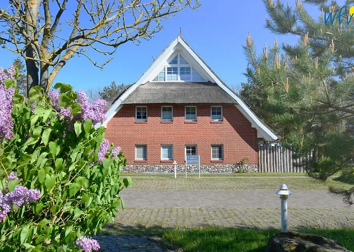 Am Gutspark Drankse Sonnenmorgen Dranske