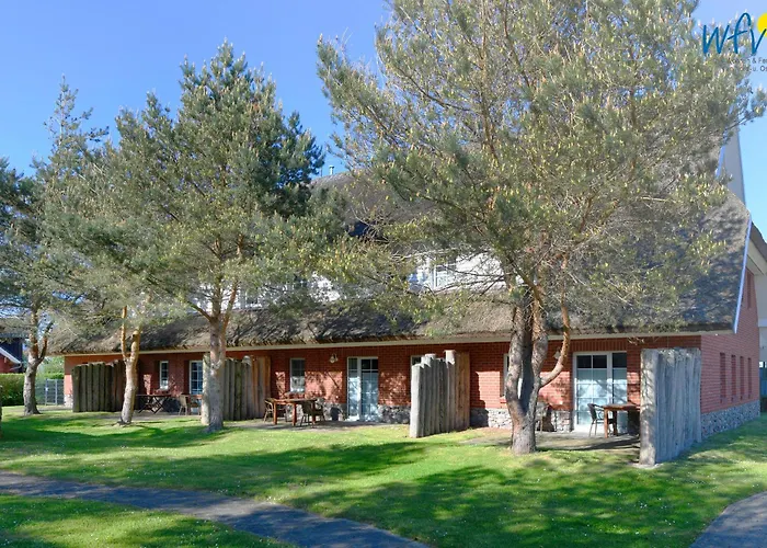 Am Gutspark Drankse Sonnenmorgen * Dranske